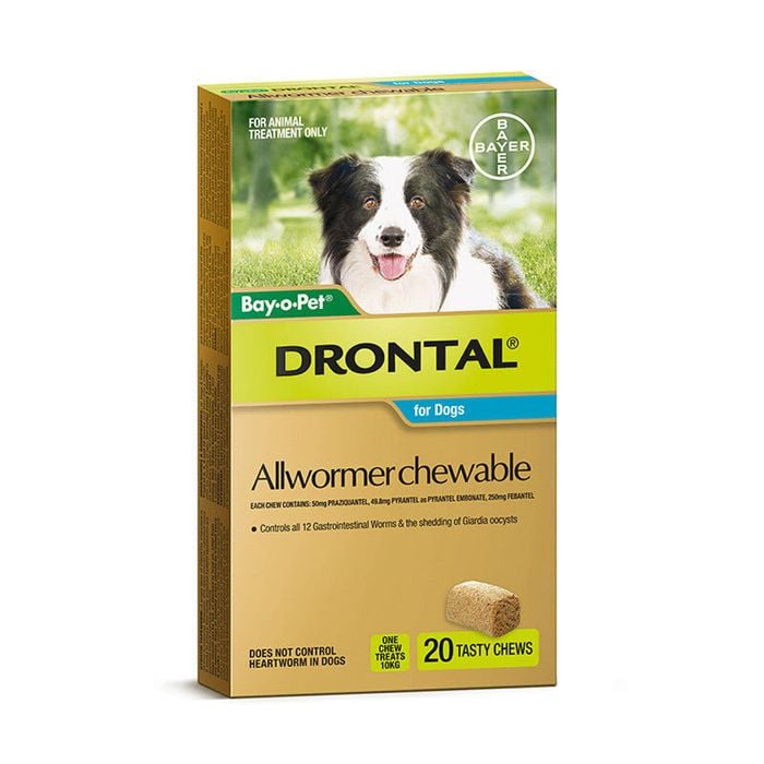 Drontal Bay-o-pet Allwormer Chewable For Medium Dogs 10kg 20 Pack