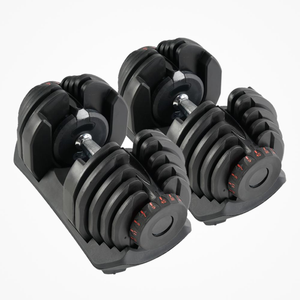 Fitnesslab 80kg Adjustable Dumbbells Dumbbell Set Weight Dumbbells Plates 2x40kg
