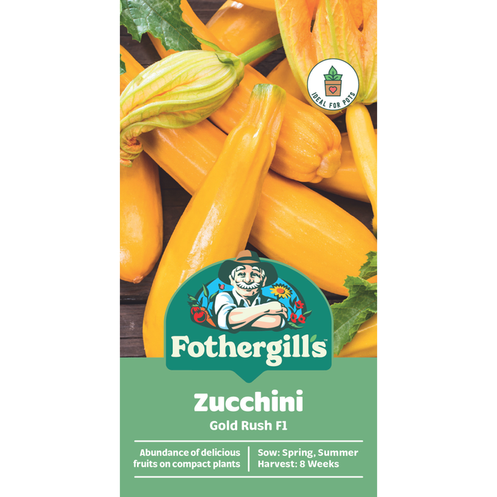 Fothergill's Gold Rush Zucchini Vegetable Seed