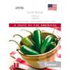 Johnsons Seed Chilli Jalapeno World Kitchen