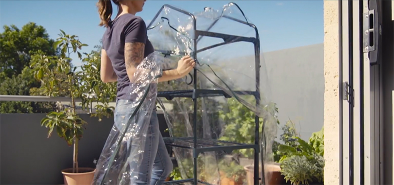 Person carrying small greenhouse