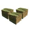 Sir Walter DNA Certified Buffalo 120m² Soft Leaf Buffalo Turf - Pallet