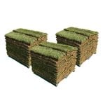 Sir Walter DNA Certified Buffalo 120m² Soft Leaf Buffalo Turf - Pallet