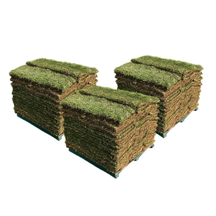 Sir Walter DNA Certified Buffalo 120m² Soft Leaf Buffalo Turf - Pallet