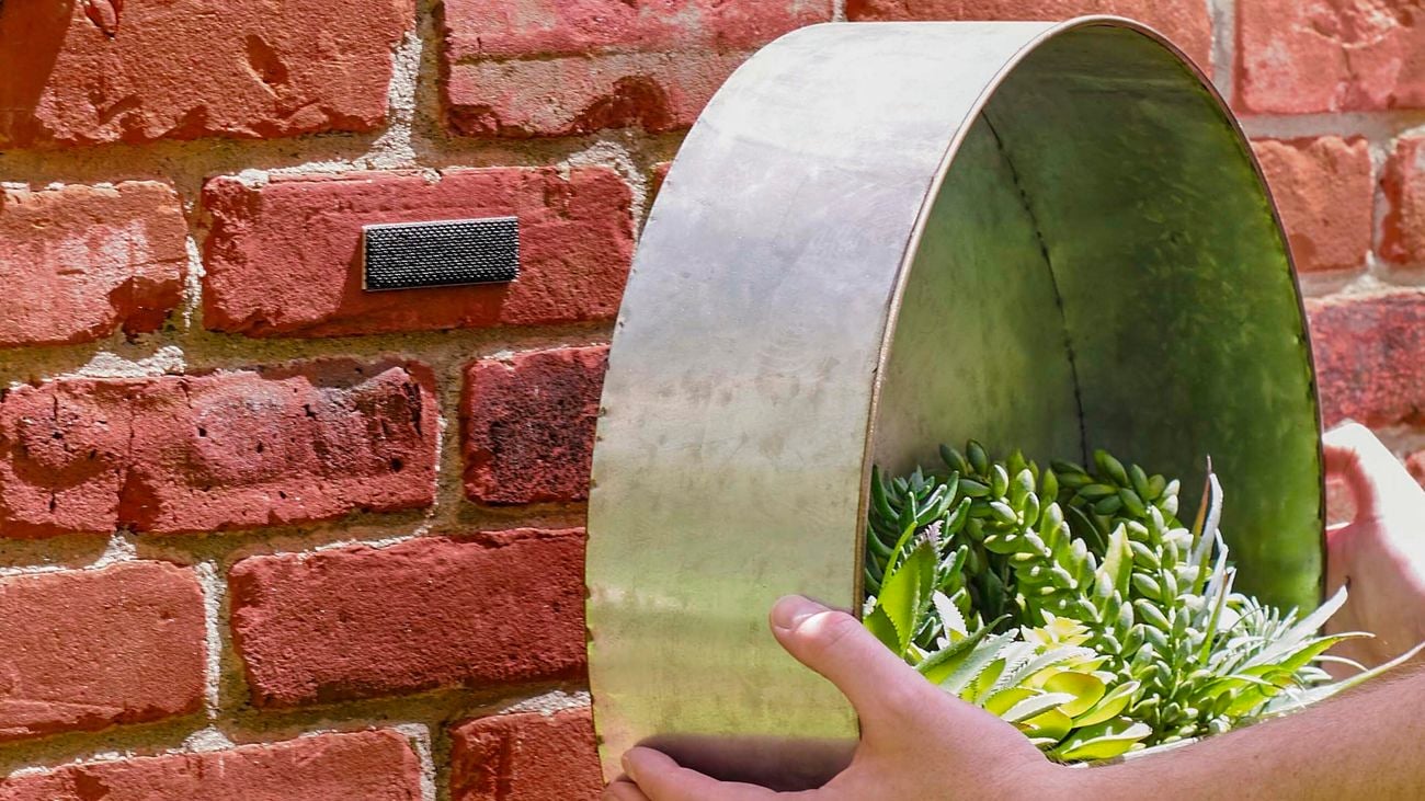 Metal, circular shelf holding pot plants, attached to brick wall on outside of house