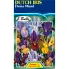 Dutch Iris Fiesta Mixed - 5 Bulbs