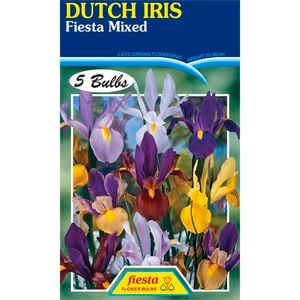 Dutch Iris Fiesta Mixed - 5 Bulbs