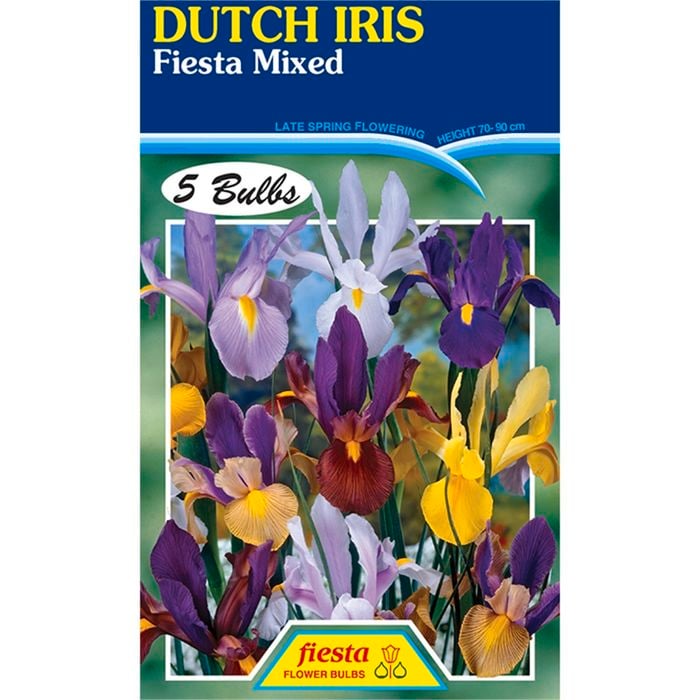 Dutch Iris Fiesta Mixed - 5 Bulbs