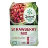 Daltons Garden Time 30L Strawberry Mix