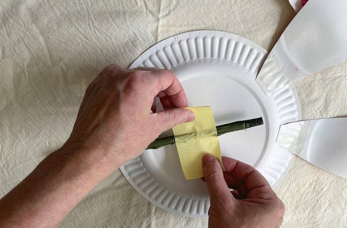 Gloved hands press a faux plant stem onto the back of a paper plate using masking tape.