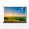 The Summer Grassland of China  Print 100% Australian Made 90x60cm  (Poster)