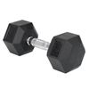 Ultimate 318 x 137 x 118mm 10kg Black with Chrome Handle Hex Dumbbell