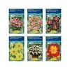 Fiesta Flower Bulbs Dahlia Collarette Variety