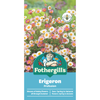 Fothergill's Erigeron Profusion Seeds
