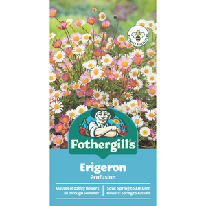 Fothergill's Erigeron Profusion Seeds