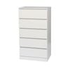 Foret Dresser Chest 5 Drawers Cabinet Storage Tallboy Lowboy White