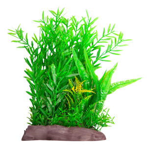 Aqua One Ecoscape Large Wide Ludwigia Brevipes/Java Fern Green (28263)