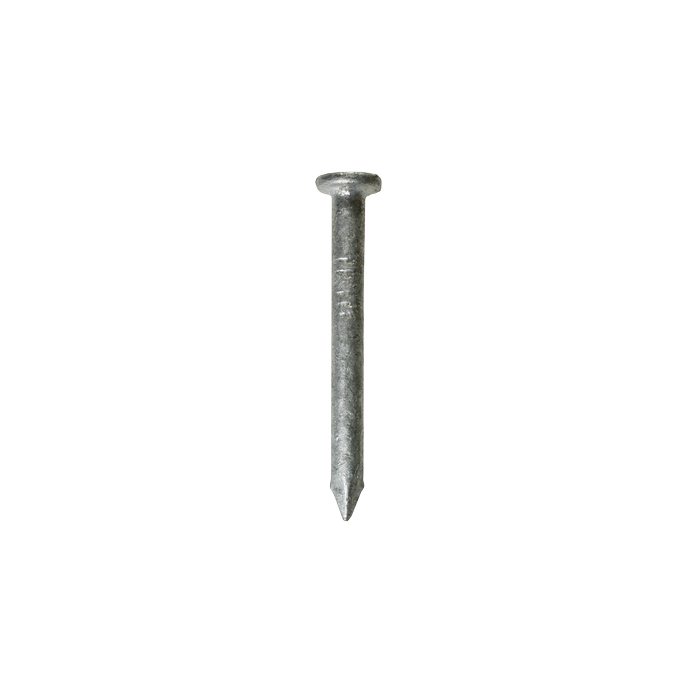 Simpson Strong-Tie 38 x 3.75 mm SCN Connector Nails