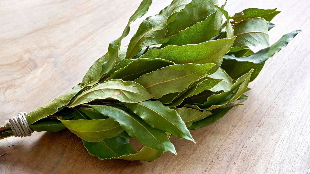 A bunch of bay leaves tied with string on a table