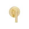 Zanda Satin Brass Round Escutcheon with Disabled Turn