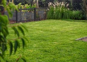 beautiful green lawn with garden bed in the distance