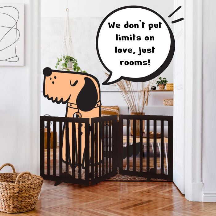 Puppy gate bunnings best sale