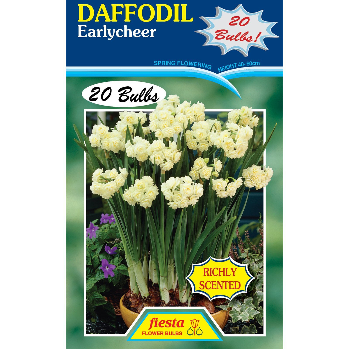 Fiesta Flower Bulbs Daffodil Earlycheer - 20 Bulbs - Bunnings New Zealand