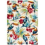 Safi 595 Ivory 280X190Cm Indoor/Outdoor Rug