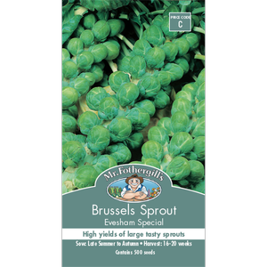 Mr Fothergill's Evesham Brussels Sprouts Vegetable Seed