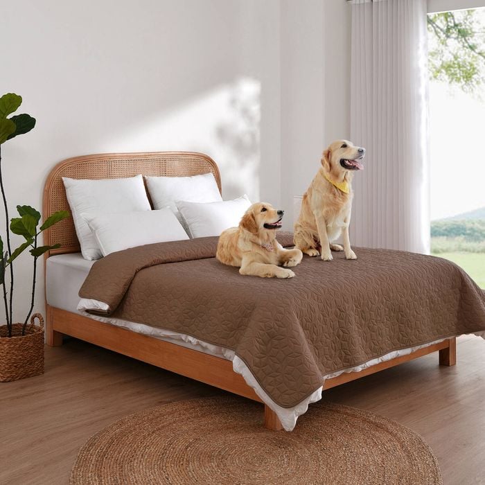 Charlie's Sofur Waterproof Dog Bed Cover Protector King/super King 208x305cm Espresso