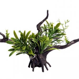 Aqua One Ecoscape Green Bromealiad Driftwood