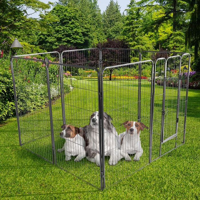 Pet fencing bunnings best sale