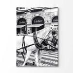 Black And White Horse with Fashion Store Print 100% Australian Made 90x60cm (Stretched Canvas)