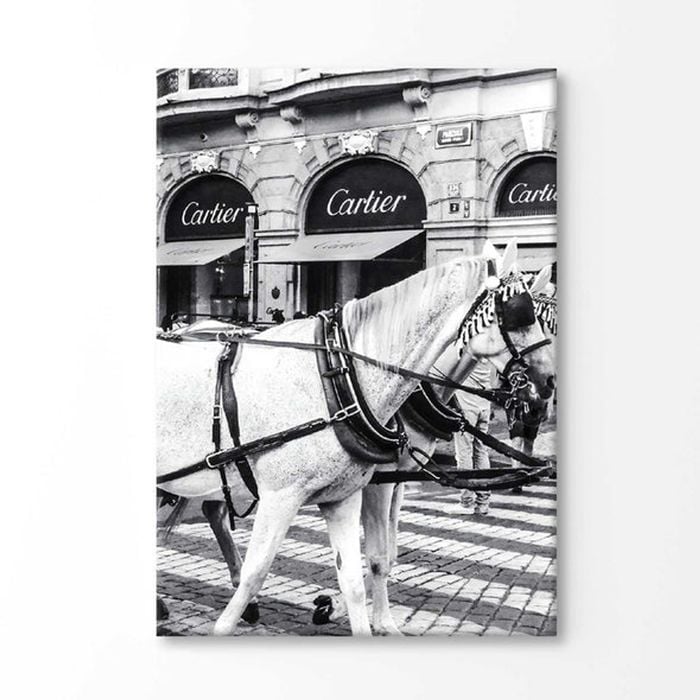 Black And White Horse with Fashion Store Print 100% Australian Made 90x60cm (Stretched Canvas)