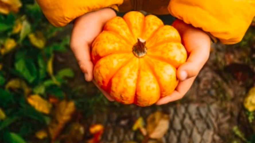 A child holding a small pumpin