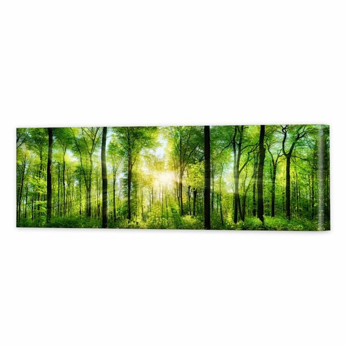 Heart Of The Forest | 105 x 35cm Stretched Canvas Print