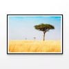 Trees in Grasslands of Kenya   Print 100% Australian Made 90x60cm  (Poster)