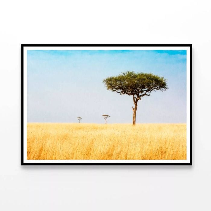 Trees in Grasslands of Kenya   Print 100% Australian Made 90x60cm  (Poster)