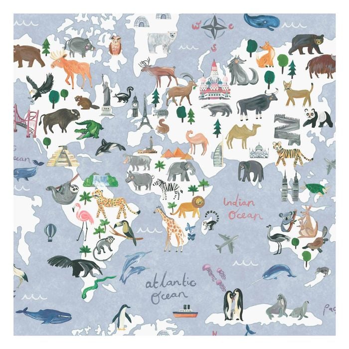 Animal Maps Blue Wallpaper  53cm x 10.05m