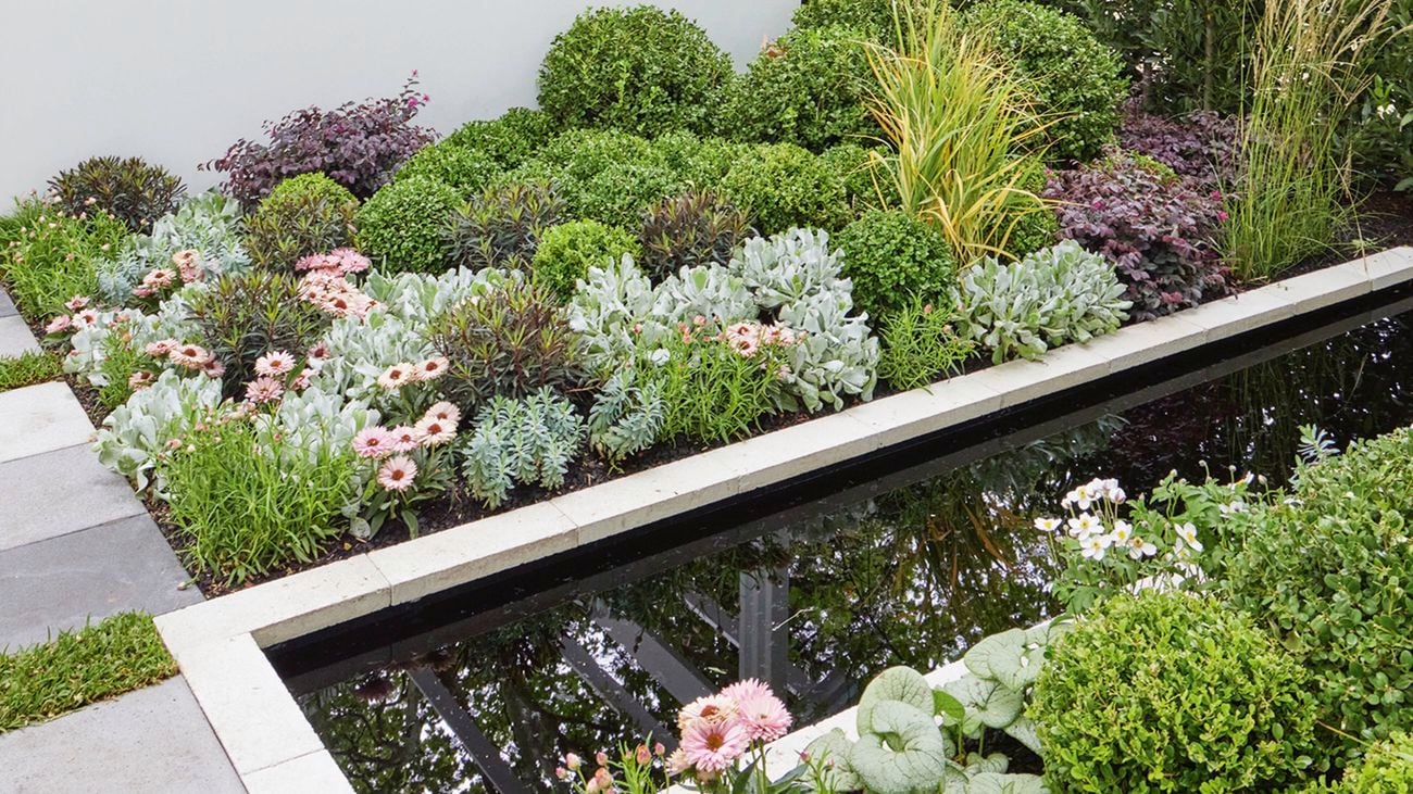 A rectangular pond edged with capping pavers with plantings of buxus and perennials on either side at Melbourne International Flower and Garden Show