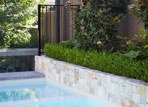 The edge of a pool, with a rock face planter box with a hedge and greenery garden design.