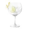 Final Touch Gin Copa Cocktail Glass (In Tube) Gin & Tonic Glassware