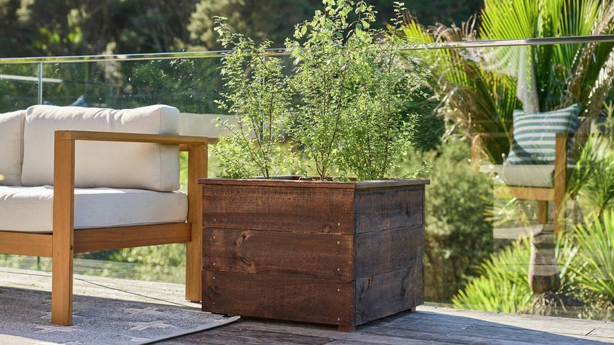 A wooden planter box with green plants next to an outdoor sofa on a deck.