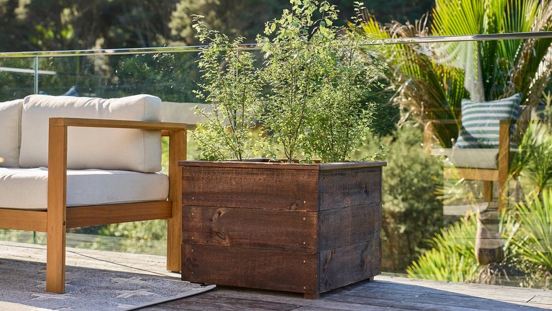 A wooden planter box with green plants next to an outdoor sofa on a deck.
