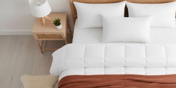 Dreamz - Strip Banner 1 - Brand Page