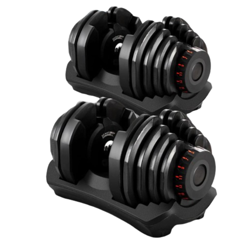 BRIXX Adjustable Dumbbells 40kg 2 pack Bunnings Australia