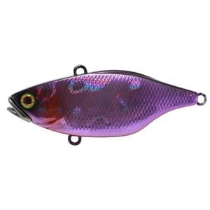 Jackall TN60 Hard body Vibration Fishing Lure HL Purple