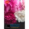 Yarra Valley Bulbs Herbaceous Peony Hand Selected Mixture