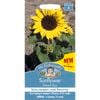 Mr Fothergill's Sunflower Dwarf Eos