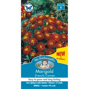 Mr Fothergill's Marigold Carmen Seeds